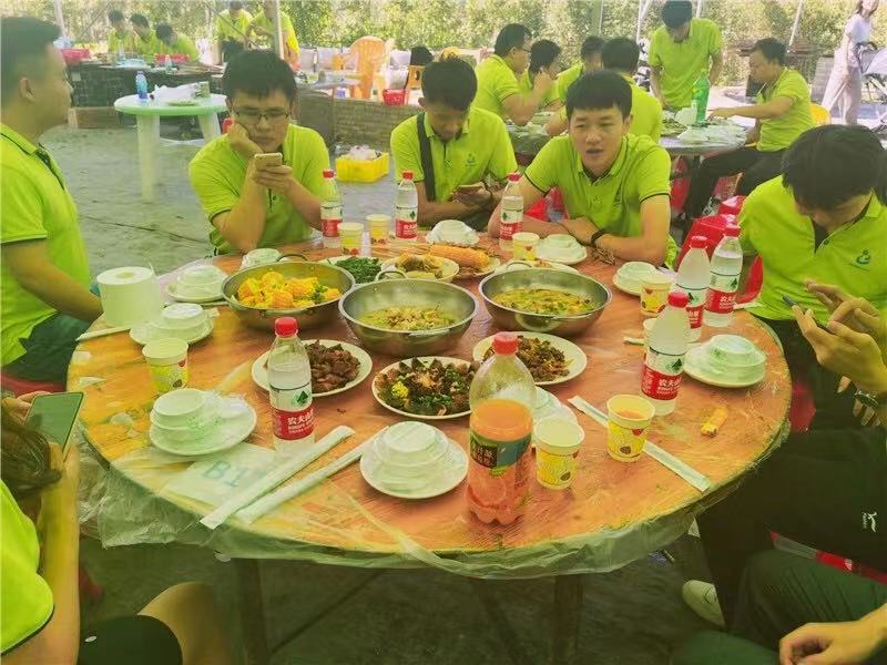 开云体云app官网入口