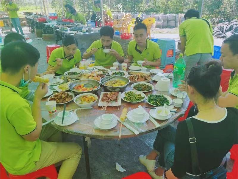 开云体云app官网入口