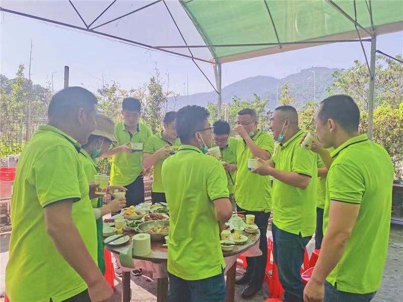 开云体云app官网入口