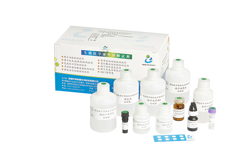 开云体云app官网入口