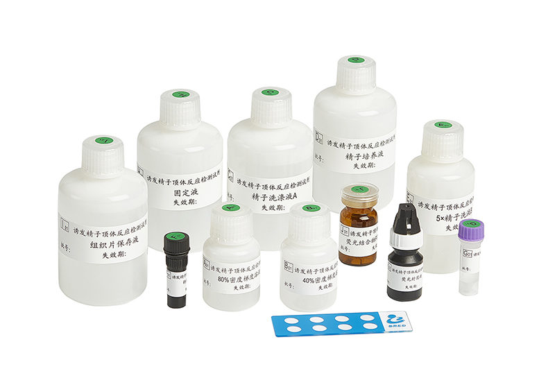 开云体云app官网入口