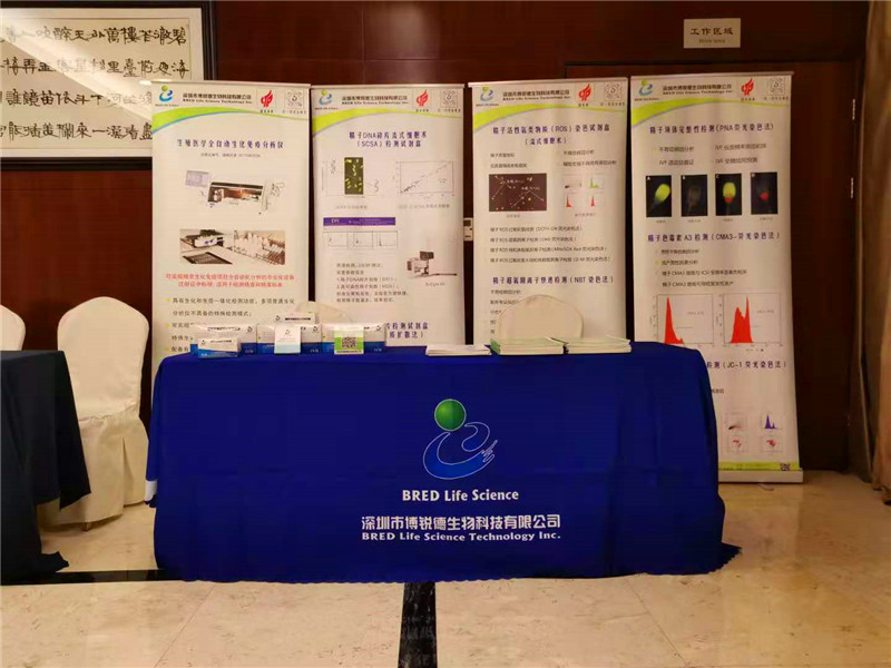 开云体云app官网入口