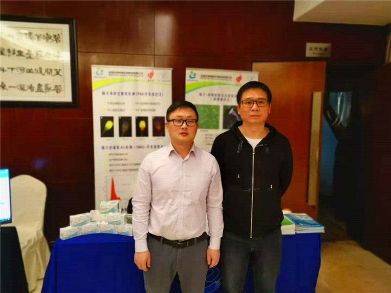 开云体云app官网入口