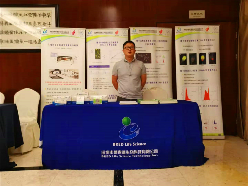 开云体云app官网入口