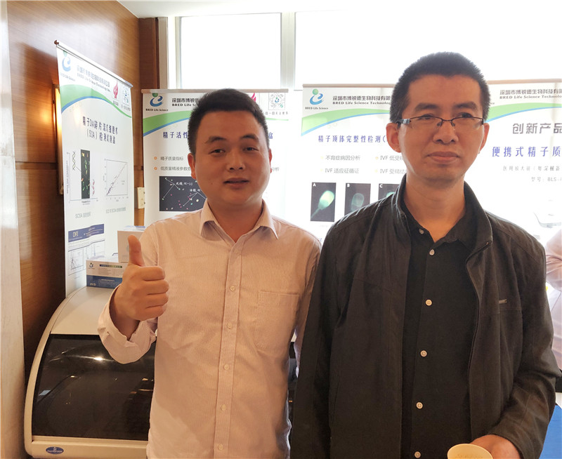 开云体云app官网入口