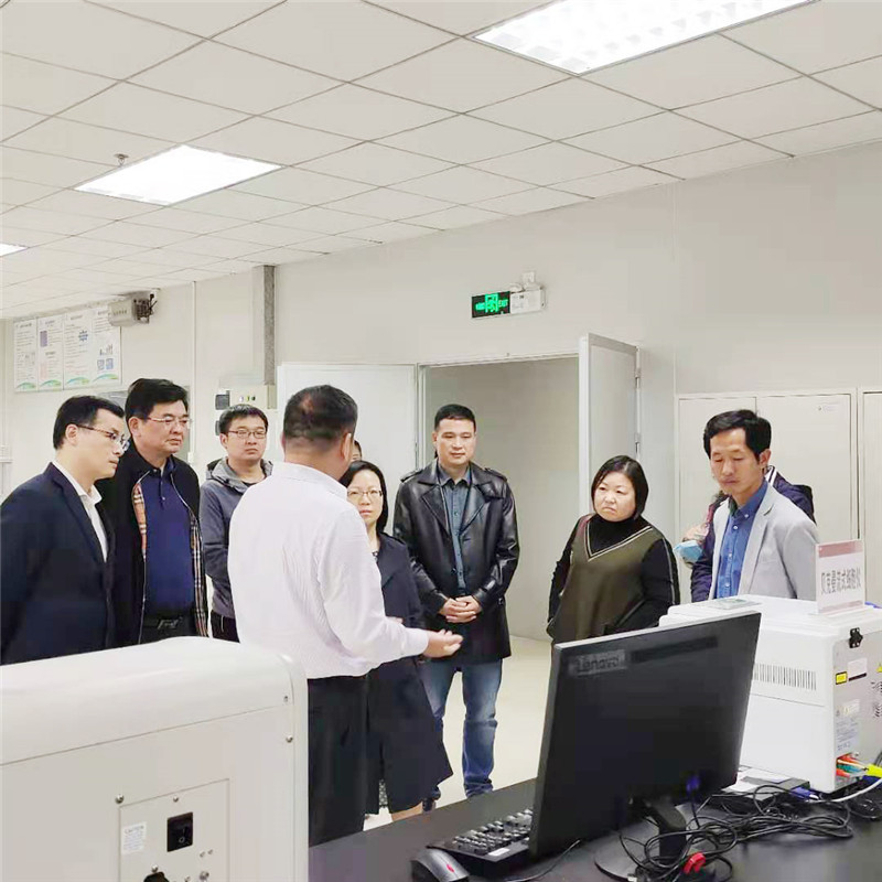 开云体云app官网入口