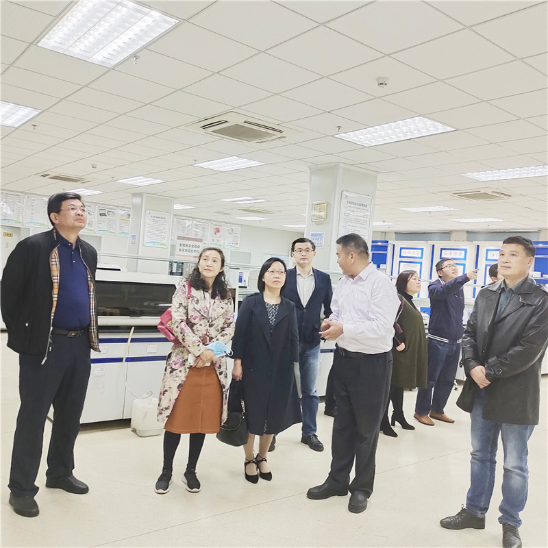 开云体云app官网入口