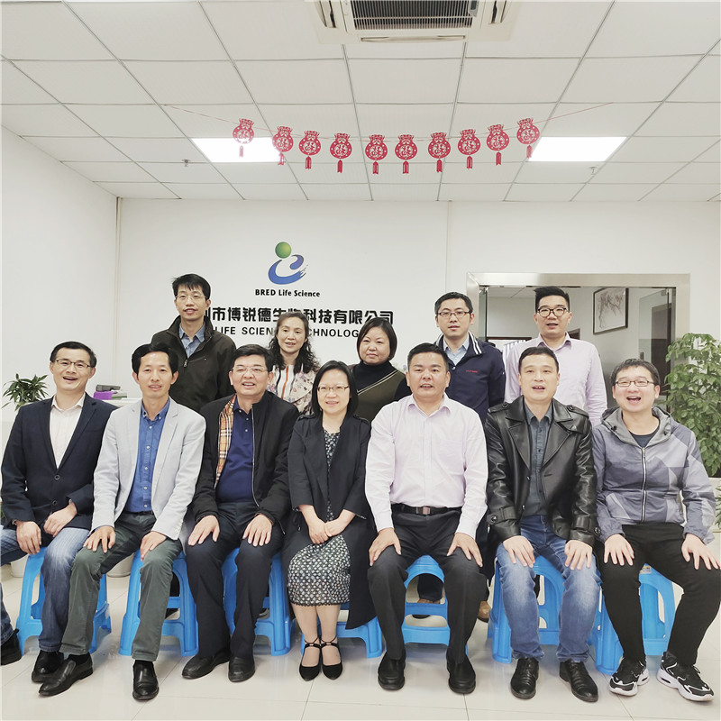 开云体云app官网入口