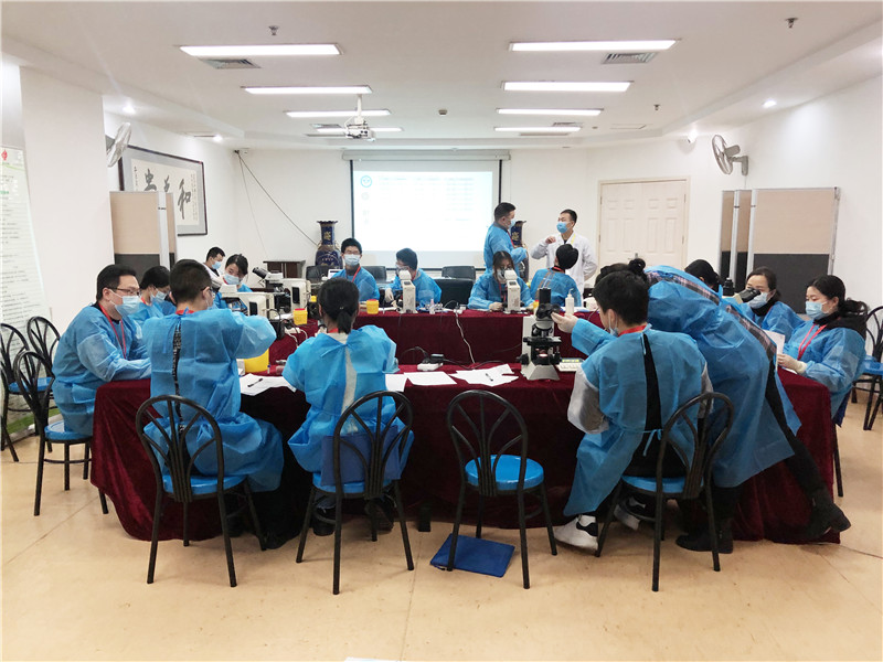 开云体云app官网入口