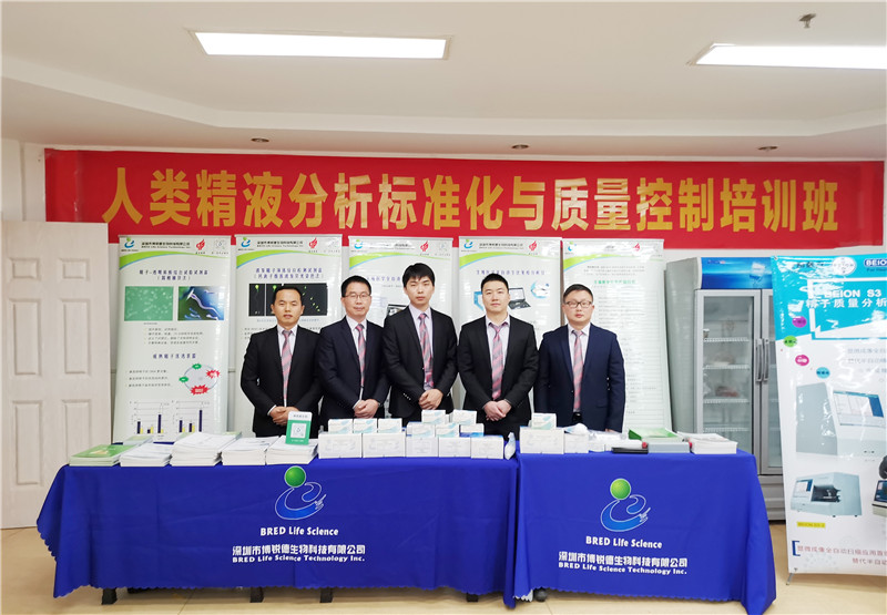 开云体云app官网入口