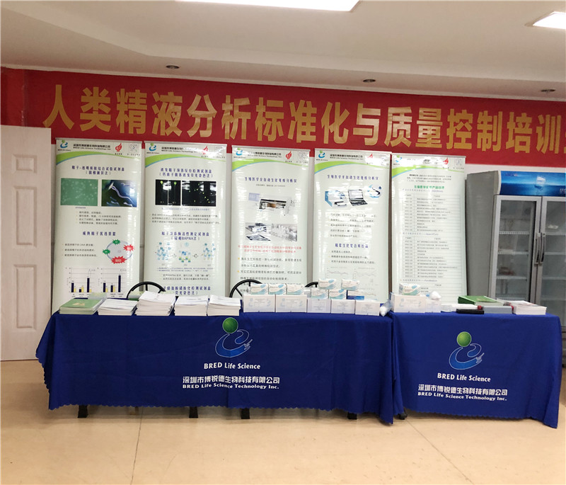 开云体云app官网入口