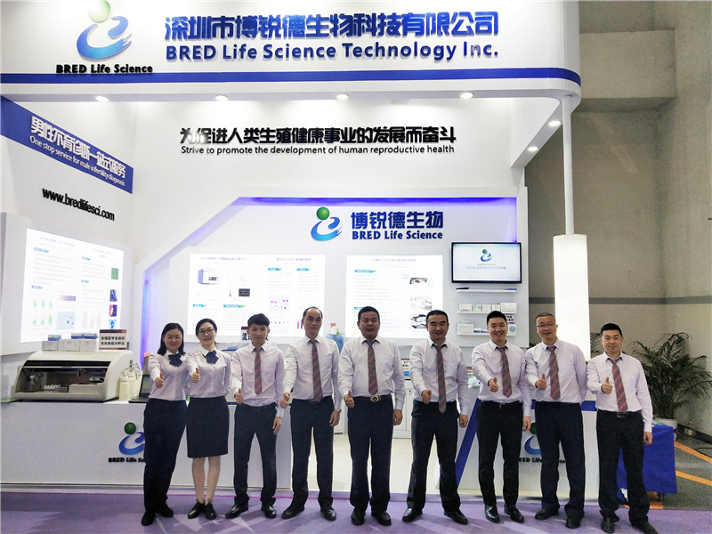 开云体云app官网入口