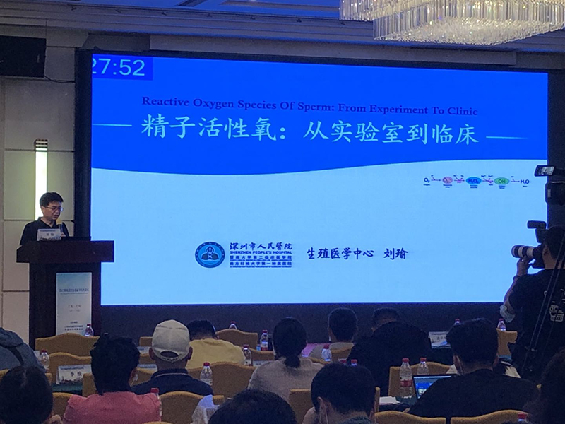 开云体云app官网入口