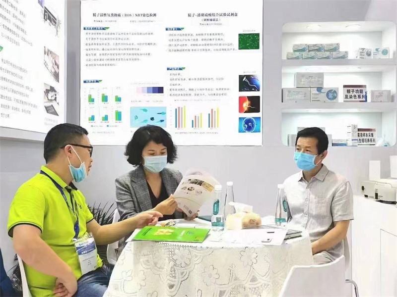 开云体云app官网入口