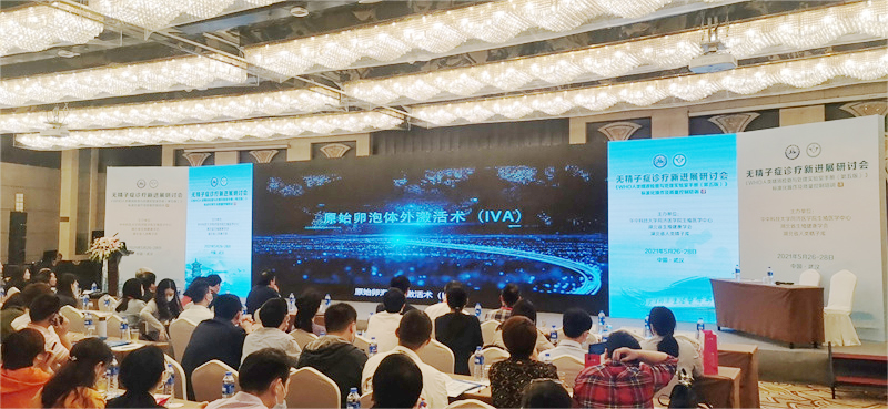 开云体云app官网入口