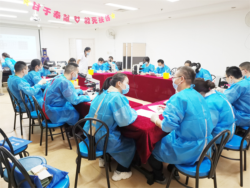 开云体云app官网入口