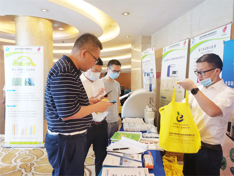 开云体云app官网入口