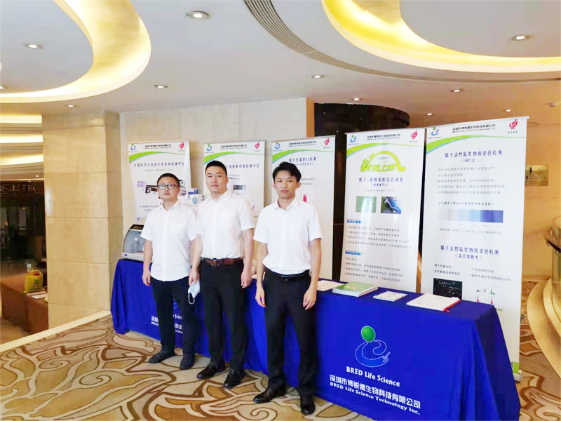 开云体云app官网入口