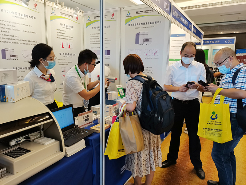 开云体云app官网入口