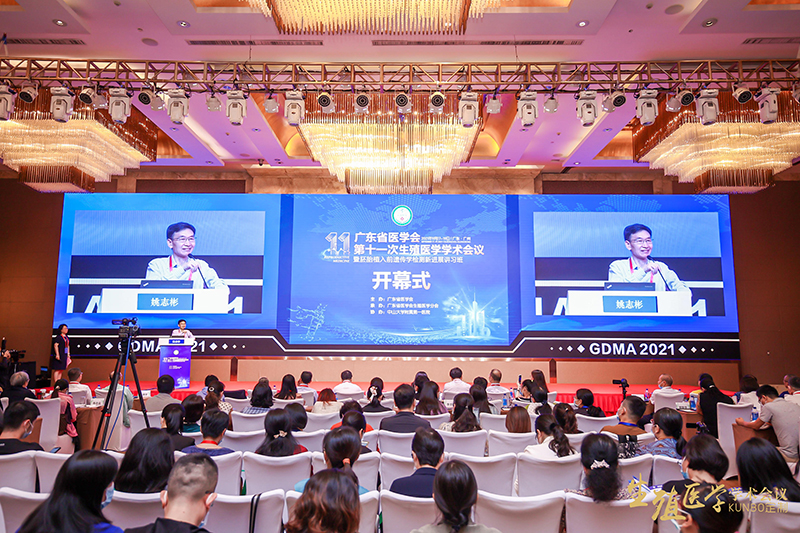 开云体云app官网入口