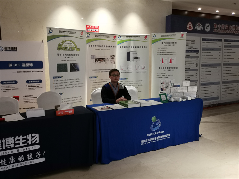 开云体云app官网入口