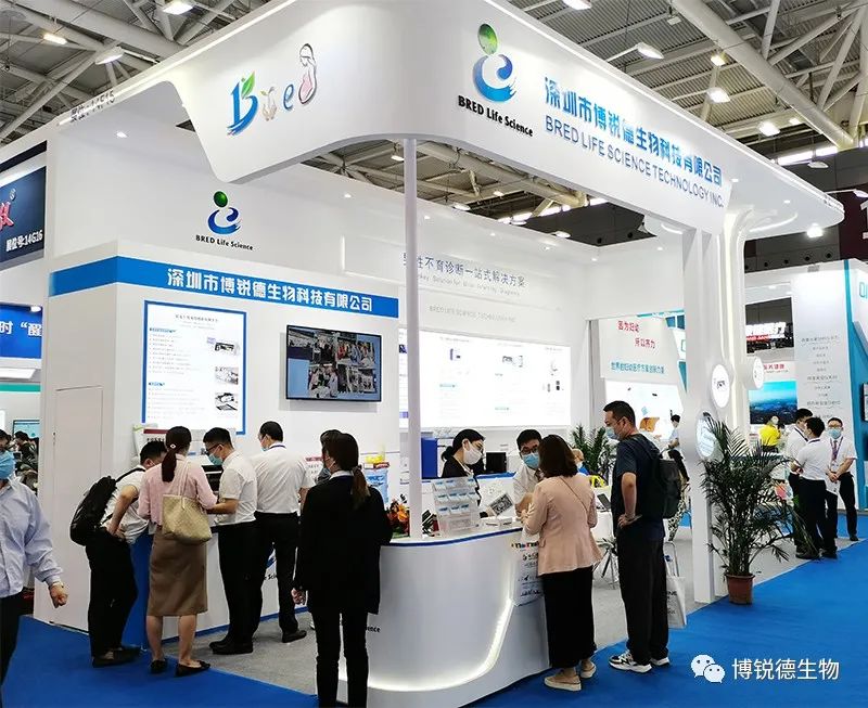 开云体云app官网入口