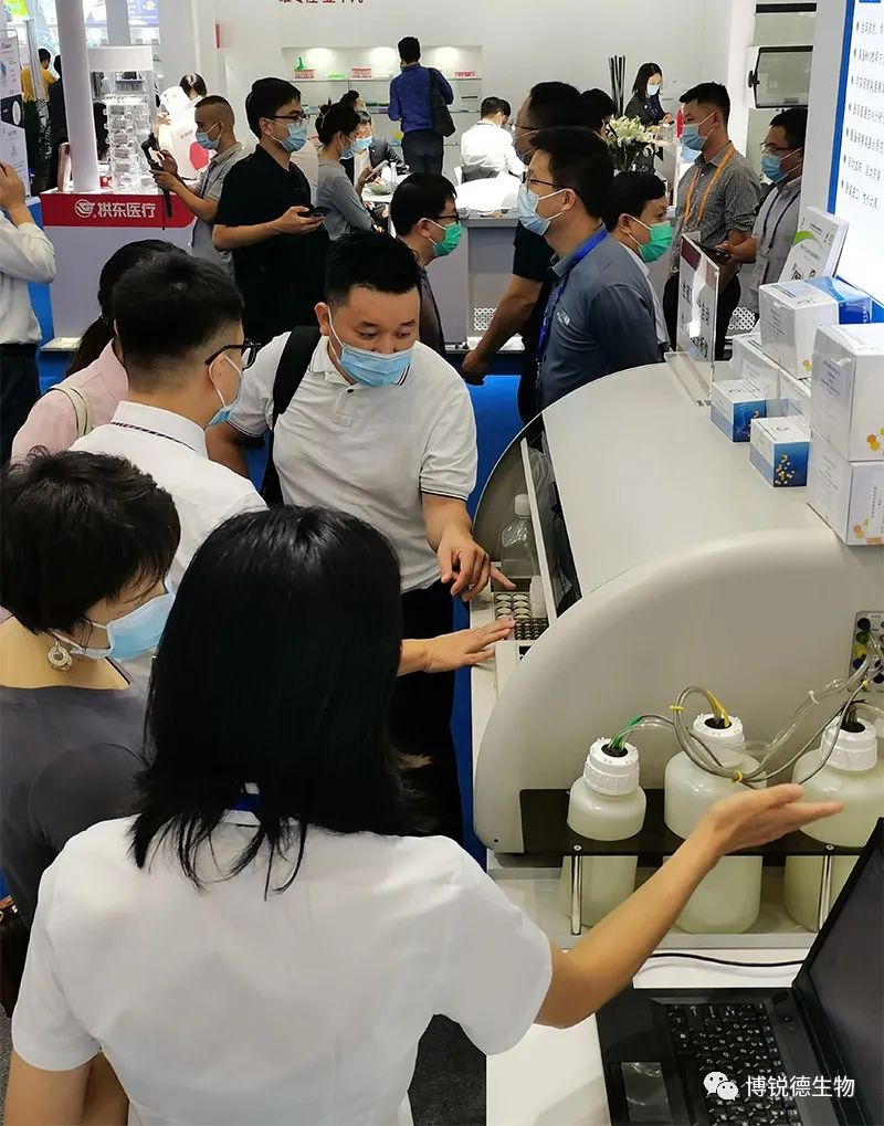 开云体云app官网入口