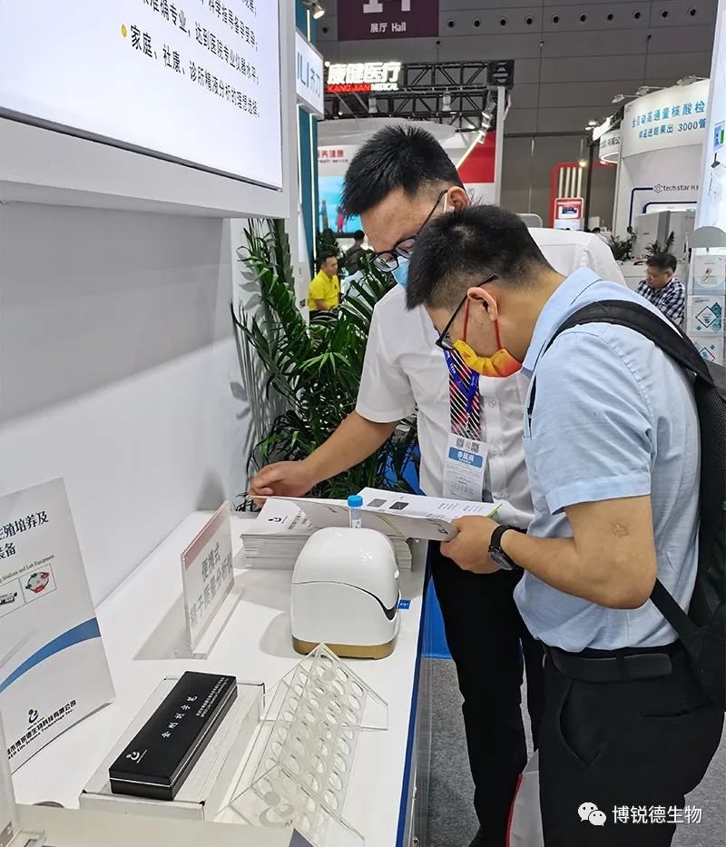 开云体云app官网入口