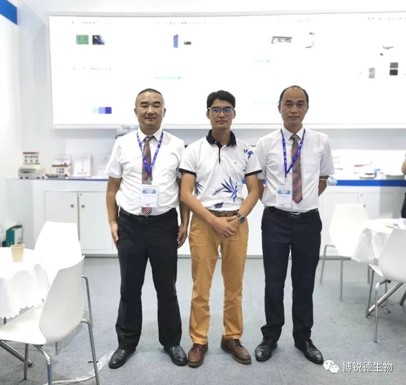 开云体云app官网入口