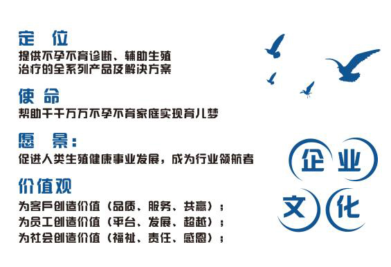 开云体云app官网入口