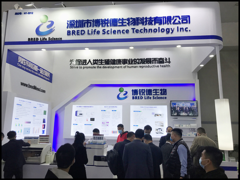 开云体云app官网入口