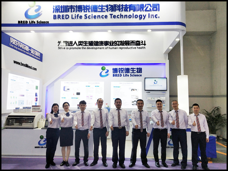 开云体云app官网入口