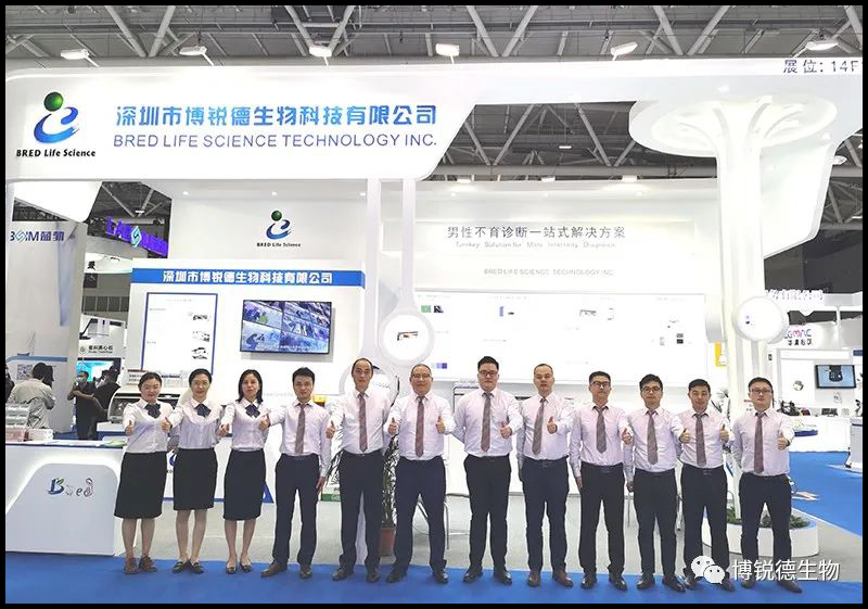 开云体云app官网入口