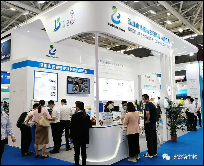 开云体云app官网入口