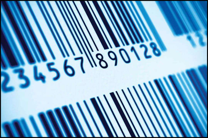 开云体云app官网入口