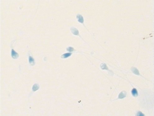 开云体云app官网入口