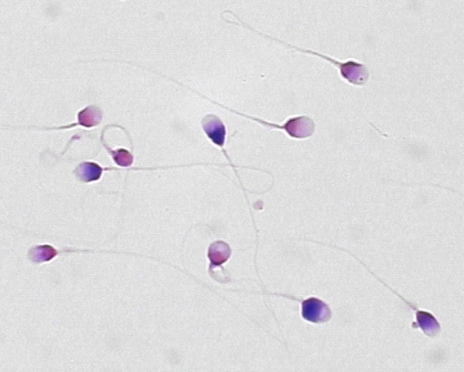 开云体云app官网入口