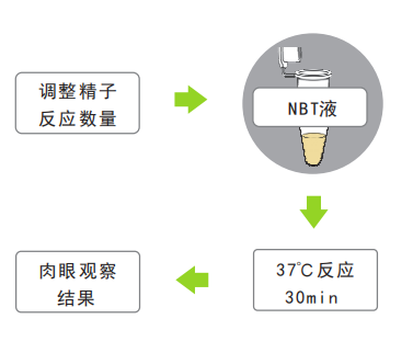 开云体云app官网入口