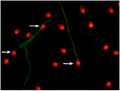 开云体云app官网入口