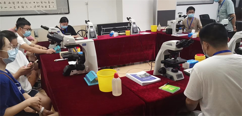 开云体云app官网入口