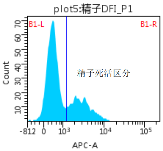 开云体云app官网入口
