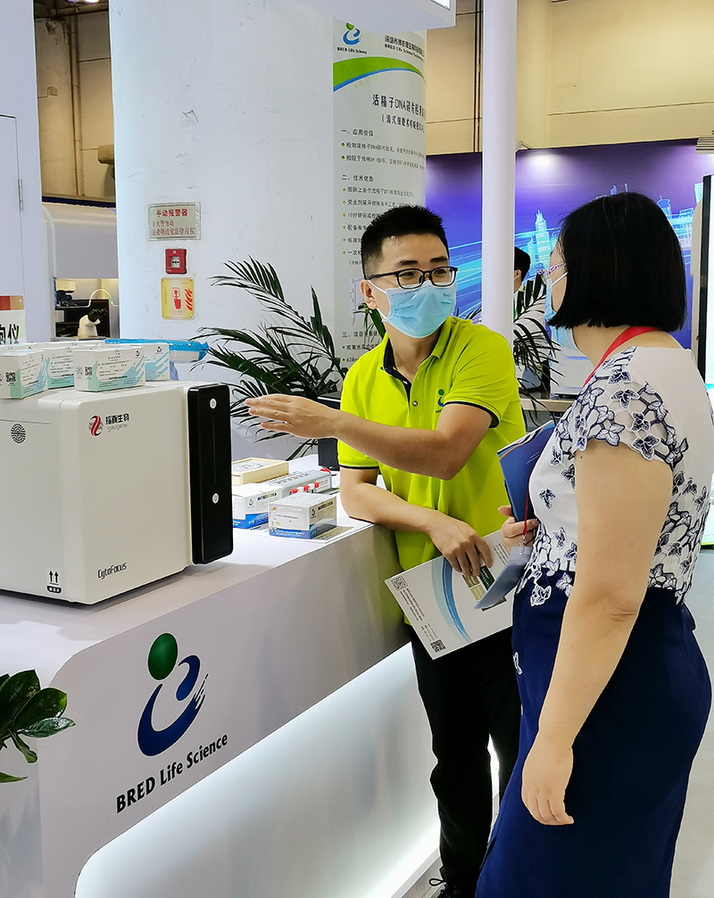 开云体云app官网入口