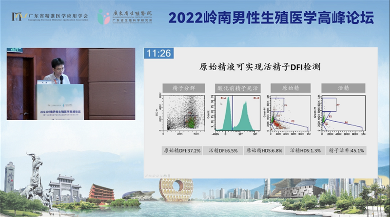 开云体云app官网入口