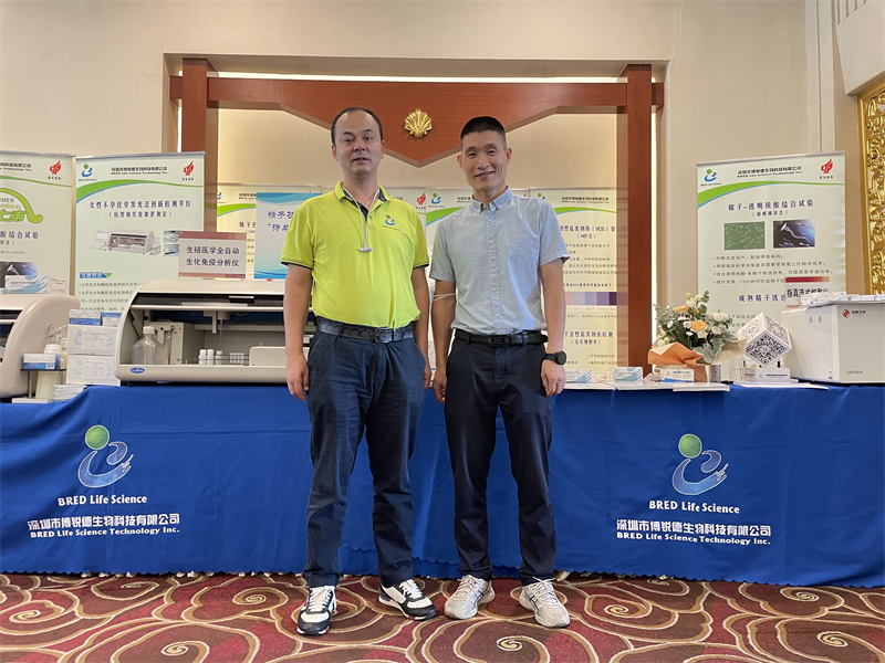 开云体云app官网入口