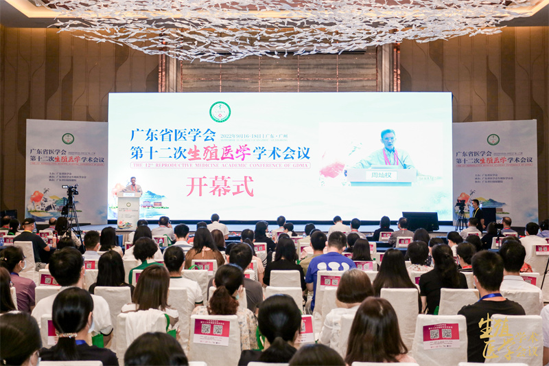 开云体云app官网入口