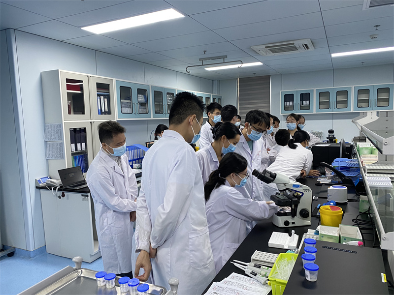 开云体云app官网入口