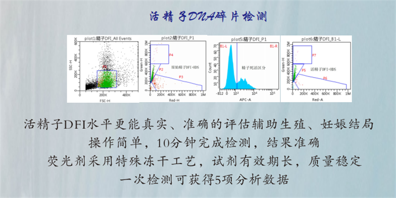 开云体云app官网入口