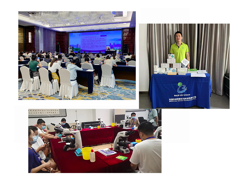 开云体云app官网入口