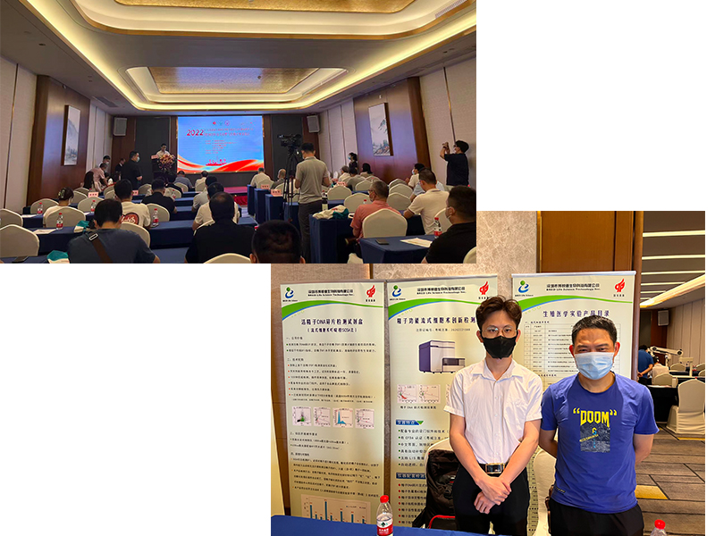 开云体云app官网入口