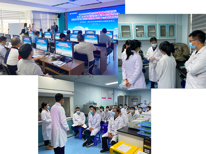 开云体云app官网入口